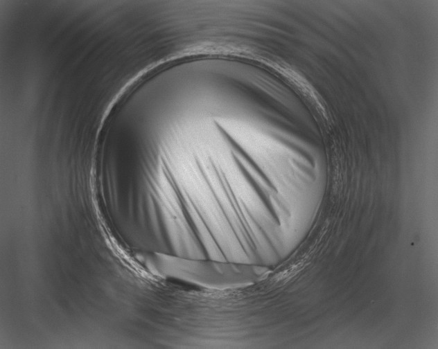 X0000082950896200702222310