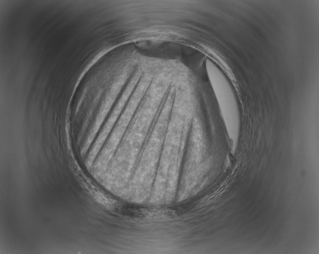 X0000082950899200702222310