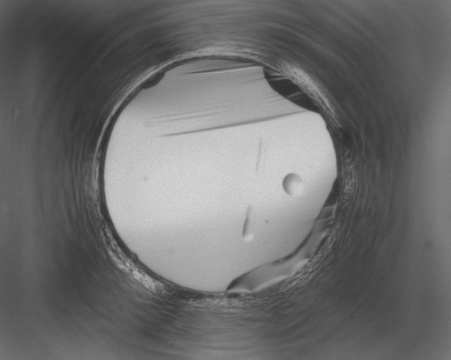 X0000082950900200702222310