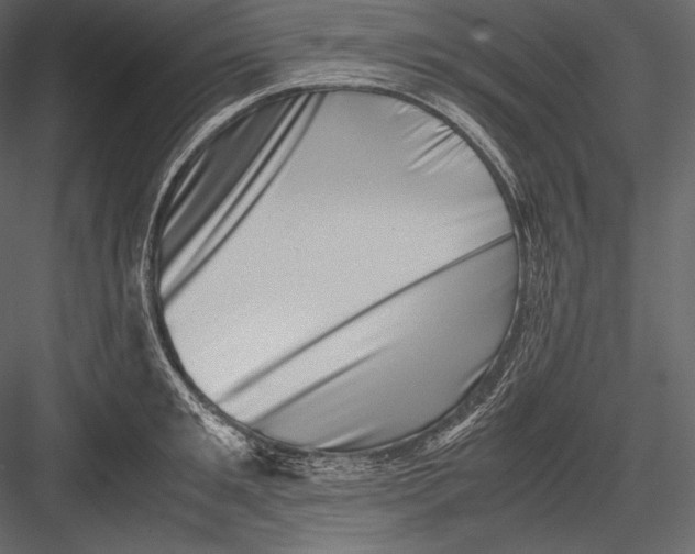 X0000082950901200702222310