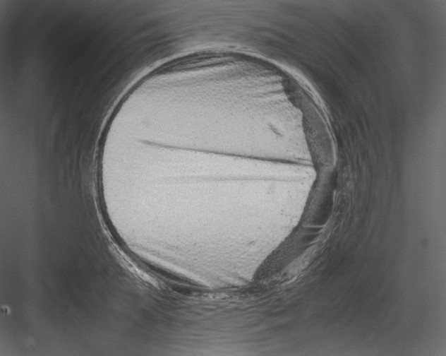 X0000082950903200702222310