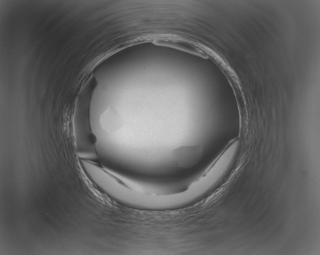 X0000082950905200702222310