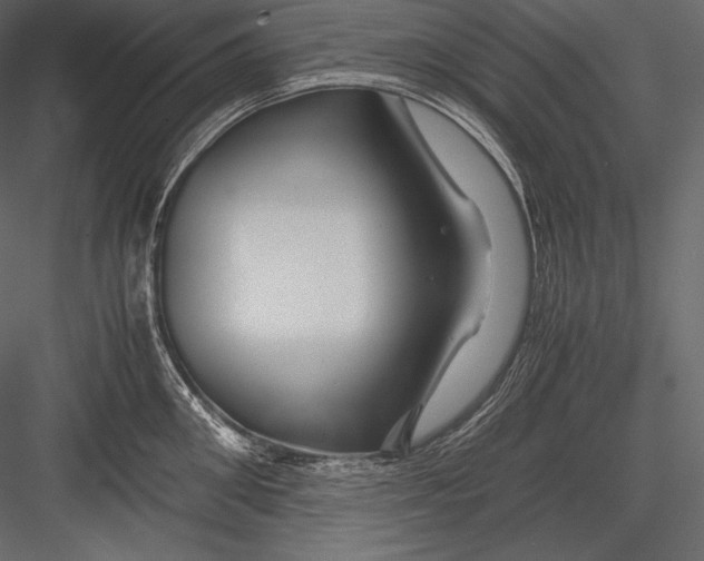 X0000082950906200702222310