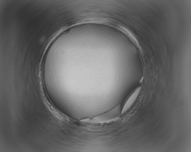 X0000082950907200702222310