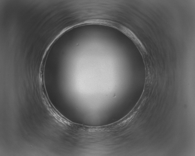 X0000082950908200702222310