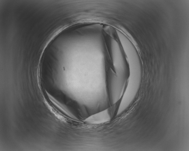 X0000082950909200702222310