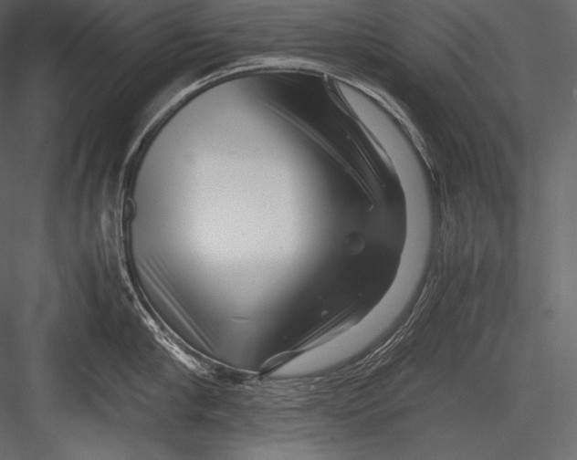 X0000082950910200702222310