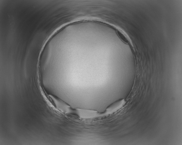 X0000082950911200702222310