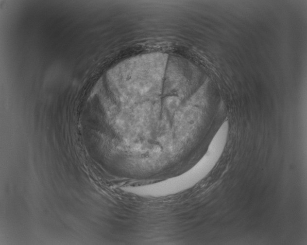 X0000082950913200702222309