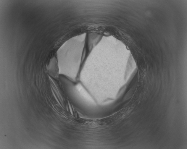 X0000082950914200702222309