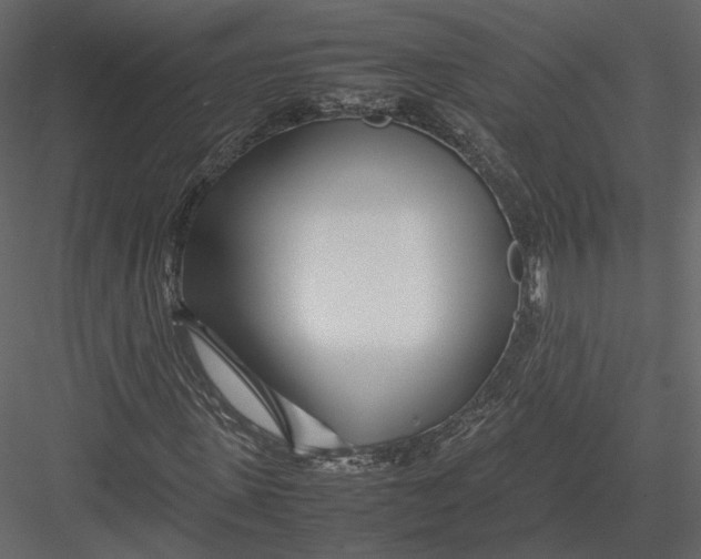 X0000082950915200702222309