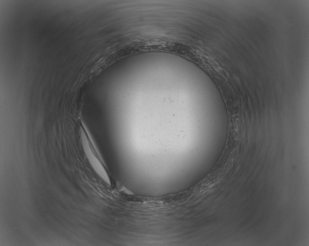 X0000082950916200702222309