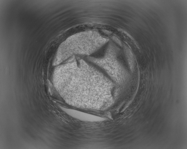 X0000082950919200702222309