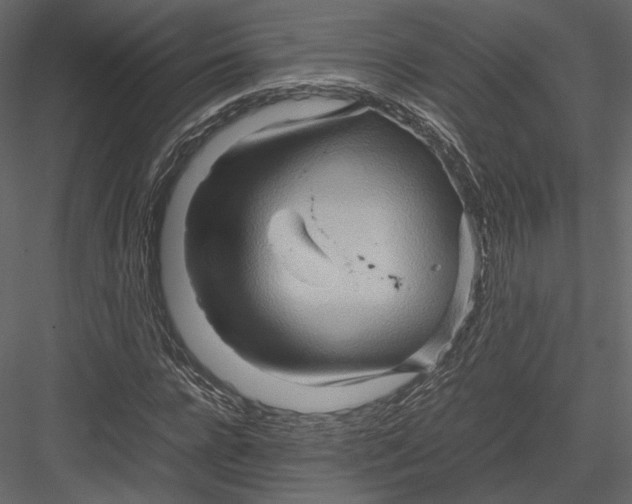 X0000082950920200702222309