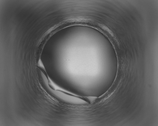 X0000082950922200702222309