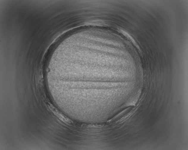 X0000082950923200702222309