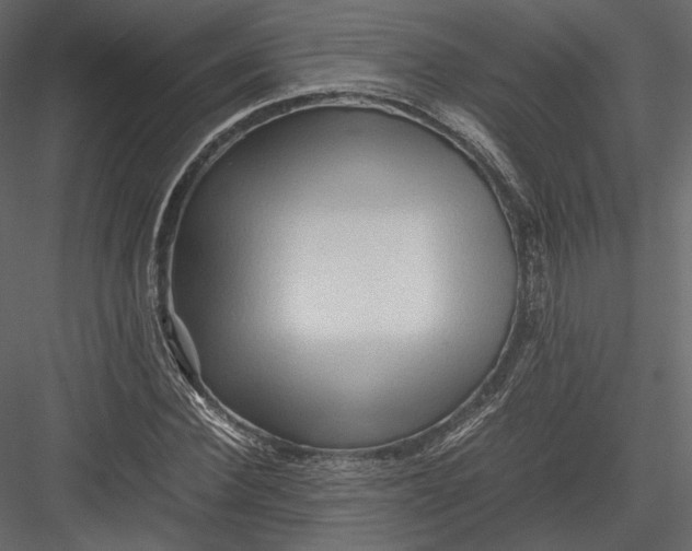 X0000082950924200702222309