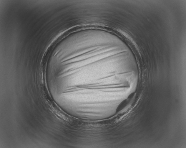 X0000082950925200702222309