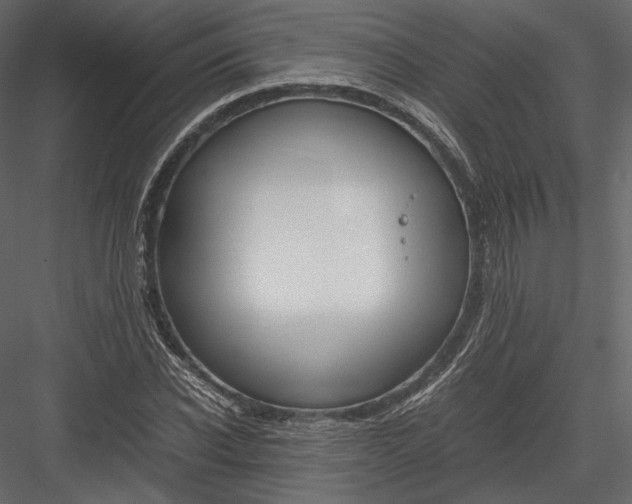 X0000082950926200702222309