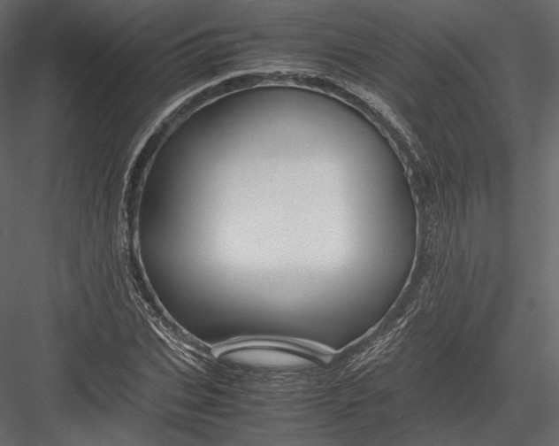 X0000082950927200702222309