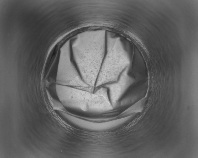 X0000082950928200702222309