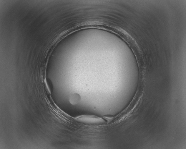 X0000082950929200702222309