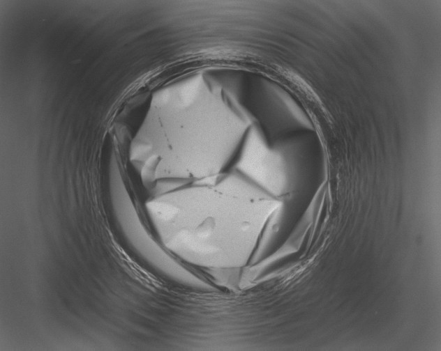 X0000082950930200702222309