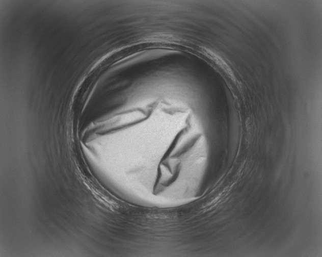 X0000082950931200702222309