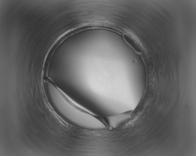 X0000082950932200702222309