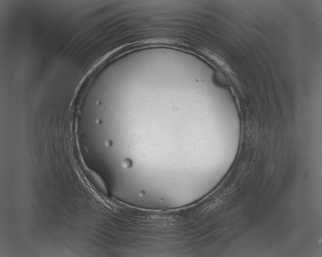 X0000082950933200702222309