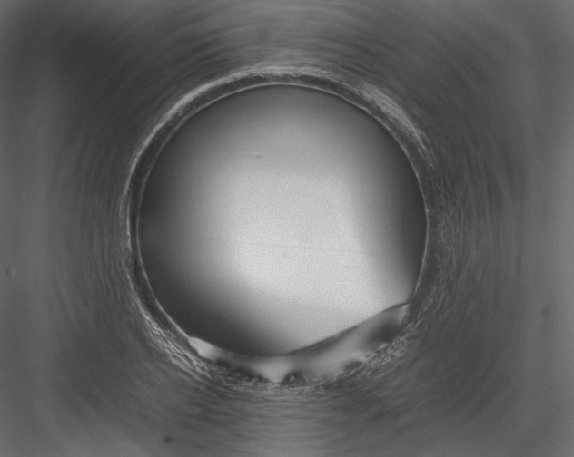 X0000082950934200702222309