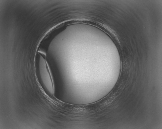 X0000082950935200702222309