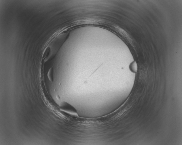 X0000082950938200702222309