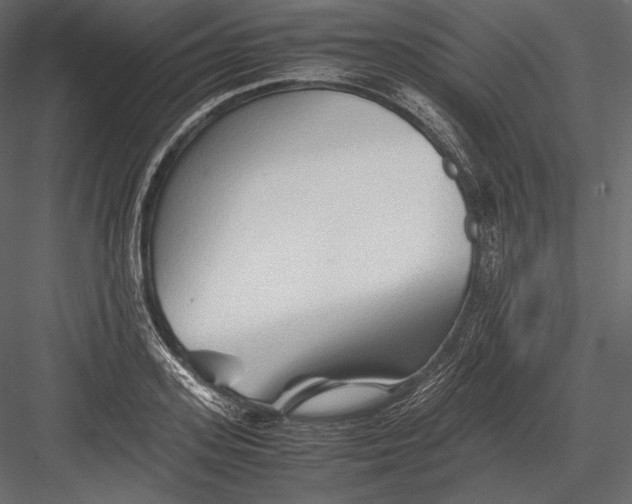 X0000082950939200702222309