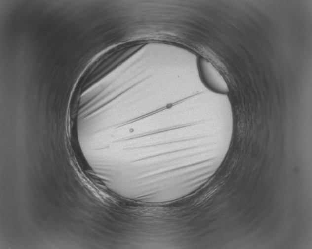 X0000082950940200702222309