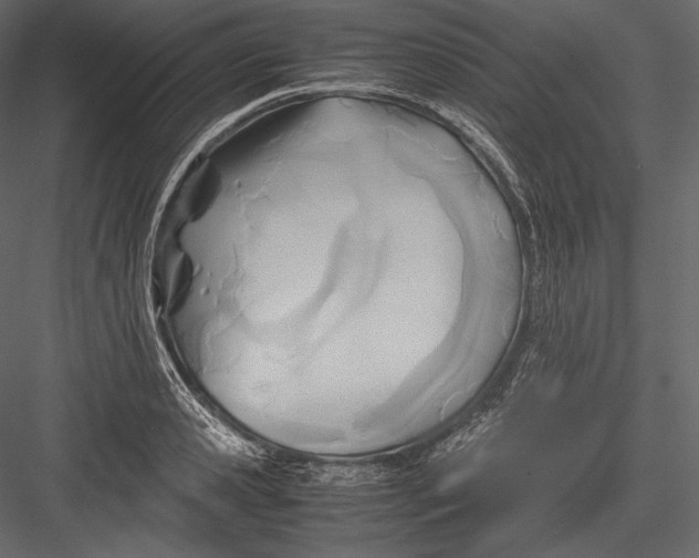 X0000082950941200702222309