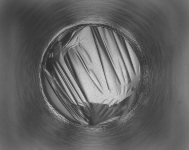 X0000082950942200702222309