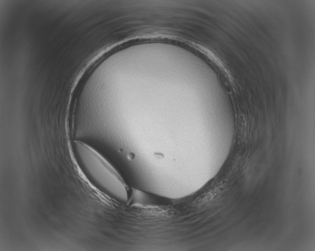 X0000082950943200702222309