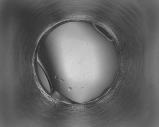 X0000082950944200702222309