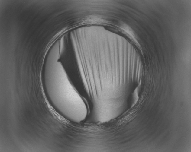 X0000082950946200702222309