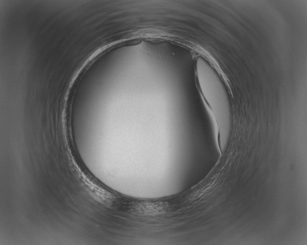 X0000082950947200702222309