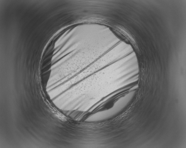 X0000082950948200702222309