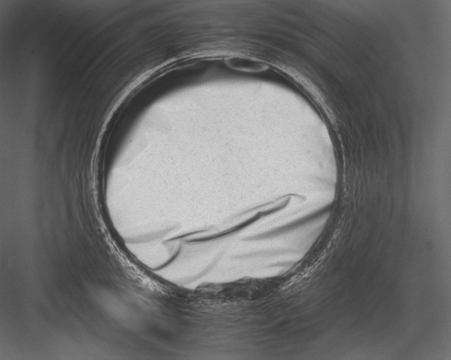 X0000082950949200702222309