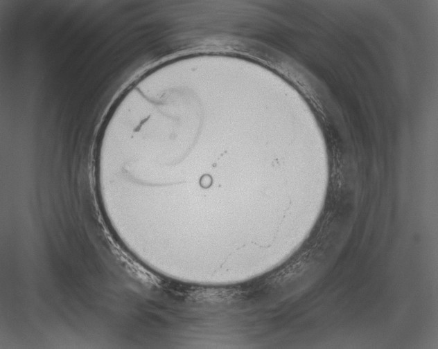 X0000082950950200702222310