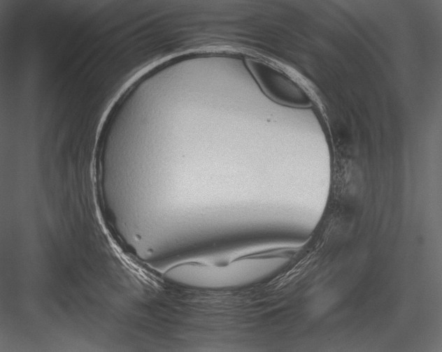 X0000082950951200702222310