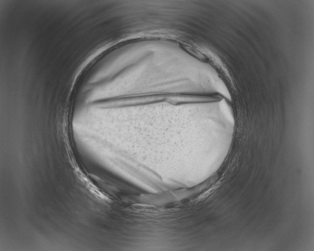 X0000082950952200702222310