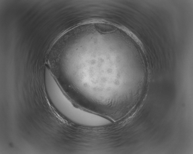 X0000082950953200702222310