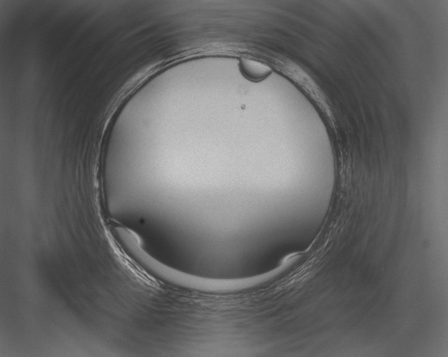 X0000082950954200702222310