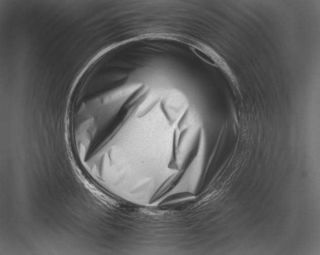 X0000082950955200702222310