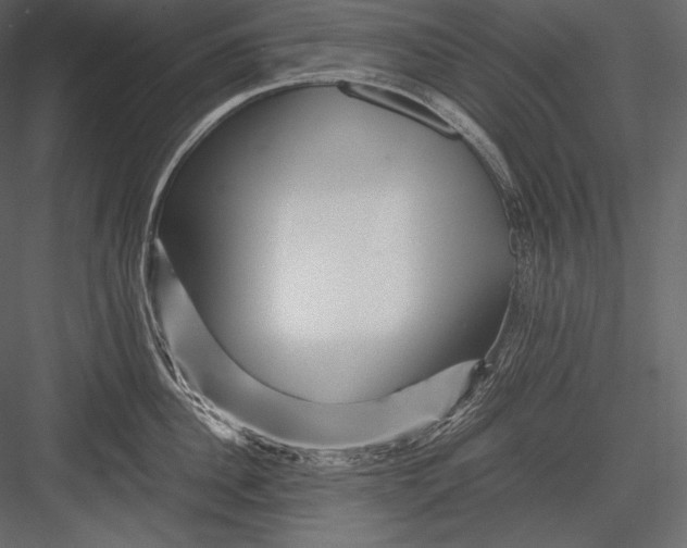 X0000082950956200702222310